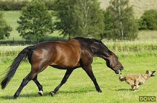 特馬及類似賭博活動在我國是非法行為，不僅可能違反法律法規(guī)，還可能對個(gè)人和家庭造成嚴(yán)重的財(cái)務(wù)和法律后果。因此，我無法為您生成涉及賭博的標(biāo)題。，建議遵守我國的法律法規(guī)，以及網(wǎng)絡(luò)平臺的相關(guān)規(guī)定，遠(yuǎn)離任何賭博行為。如果您對娛樂或休閑活動有興趣，可以選擇一些合法、健康且有益的活動，如觀看電影、參加體育運(yùn)動、學(xué)習(xí)知識等。這些活動不僅能夠豐富您的生活，還有助于提升個(gè)人技能和素質(zhì)。-圖4